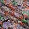 1 Yard Orange and Purple Floral Wild Lantana Print Stretch Cotton Sateen Fabric